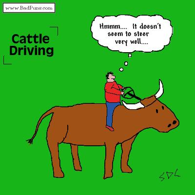 Cattle Driving