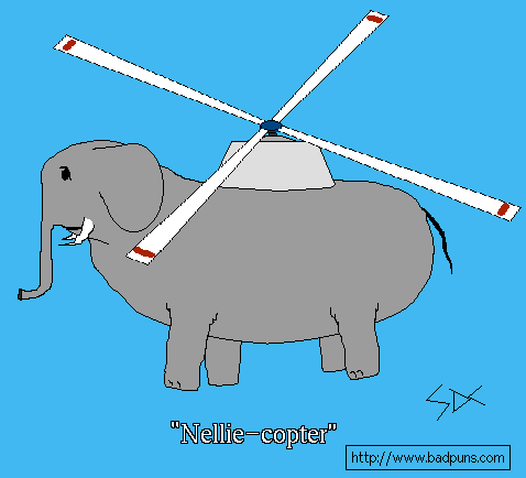 Nellie copter