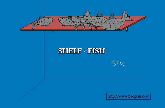 Shelf-fish